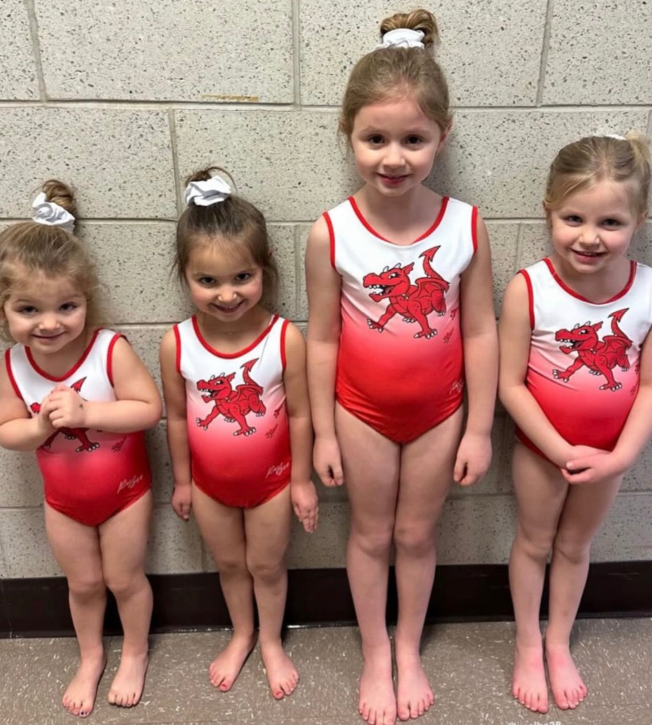Cortland Baby Dragon Leotard
