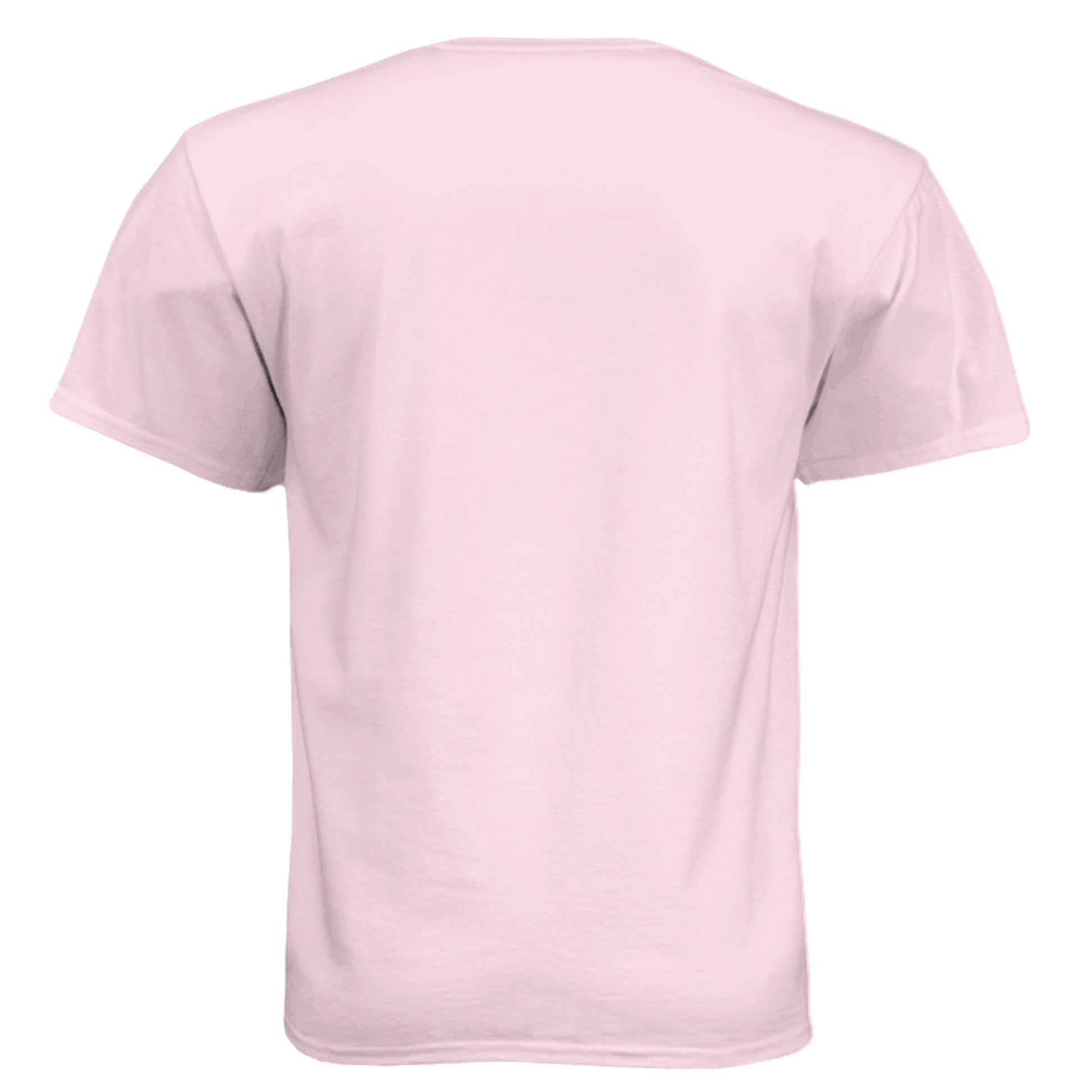 PALE PINK - 5280 - BACK