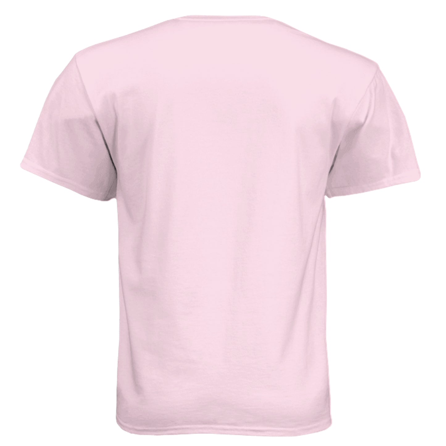 PALE PINK - 5280 - BACK